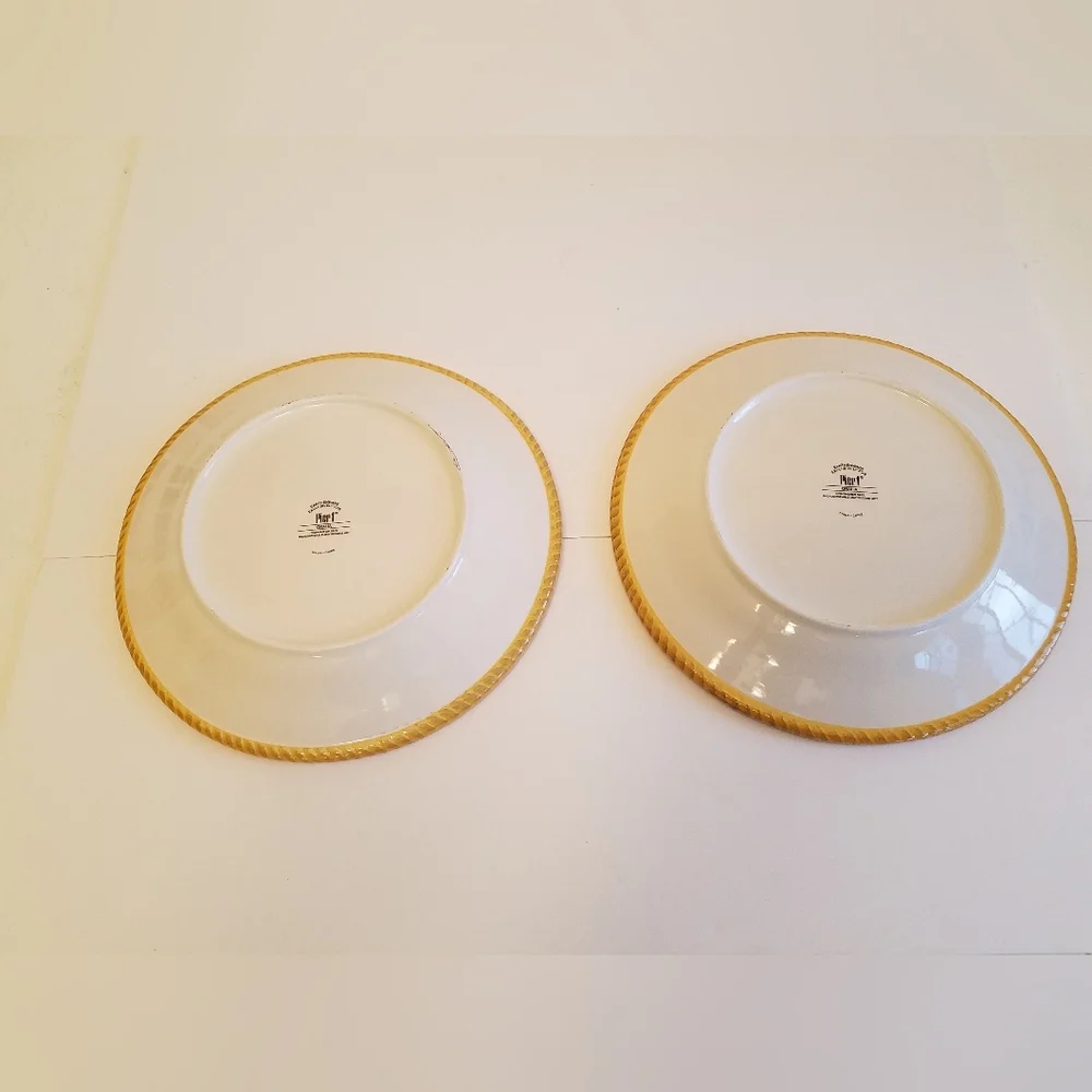 Set of 2 Pier 1 Oralia Earthenware Dinner Plates Floral